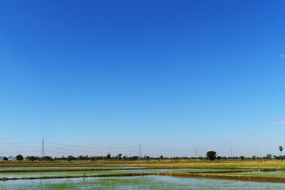 Scenic view of agricultural field against clear blue sky