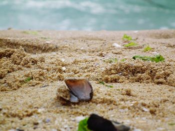 Close-up of sand on beach