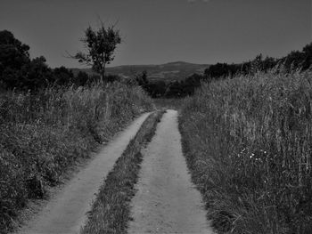 Road passing through field