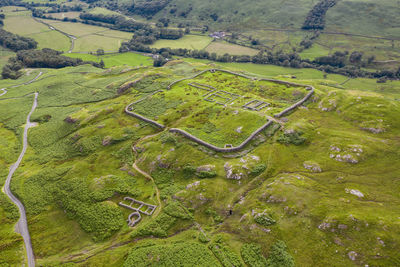 High angle view of agricultural field