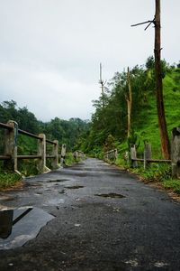 Road amidst trees against sky