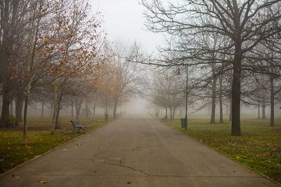 Road amidst trees during autumn