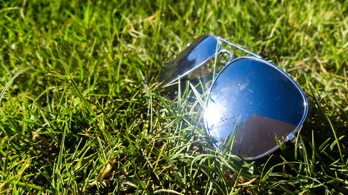 View of grassy field