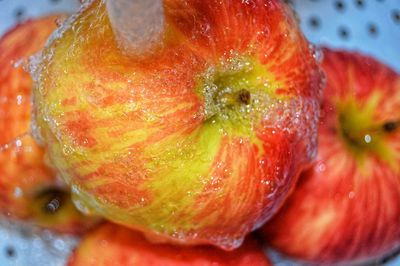 Close-up of fruit