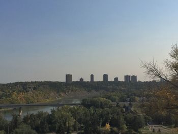 Trees and buildings against clear sky