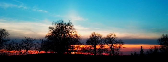 Silhouette trees against sky during sunset