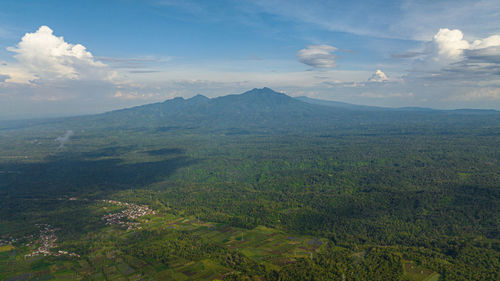 environment