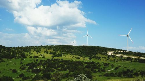 Scenic view of rural landscape