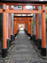 Thousands of torii in kyoto