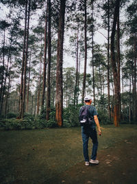 Rear view of man standing in forest