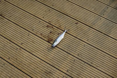 High angle view of wood on boardwalk