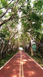 Empty road along trees