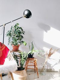 Potted plant on table against wall