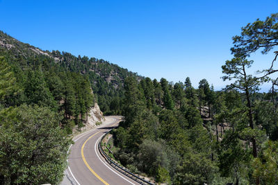 Panoramic view of road amidst trees against clear sky