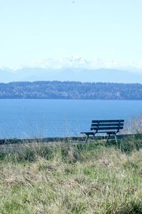 Empty bench on grass by sea against sky