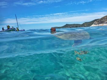 Scenic view of sea against sky with a turtle 