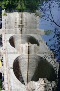 Reflection of trees in water