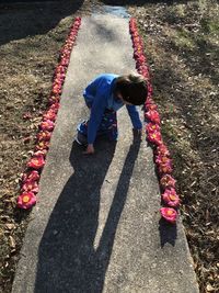 High angle view of boy crouching by flower