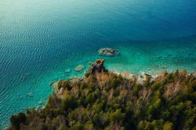 High angle view of plants on beach