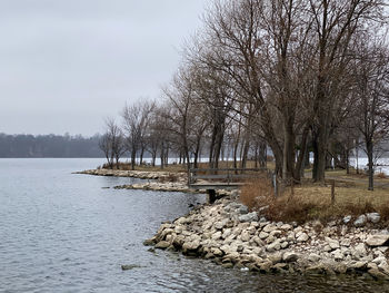 Bare trees by lake against sky during winter