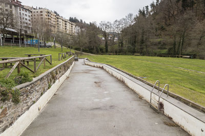 Empty footpath amidst trees