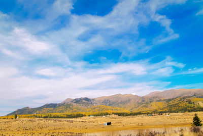 Scenic view of field and mountains against sky