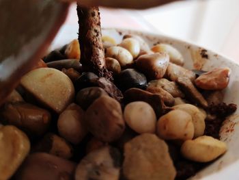 Close-up of food in bowl