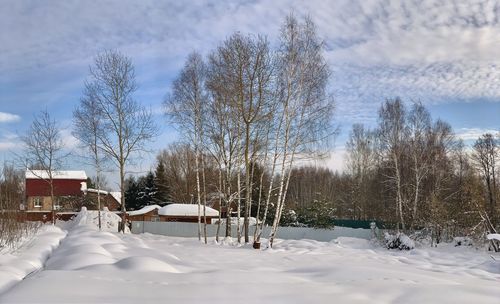 snow