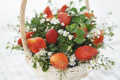 Close-up of strawberry basket on bed