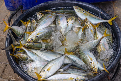 High angle view of fish in market