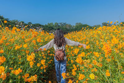 Rear view of woman standing by yellow flowering plants