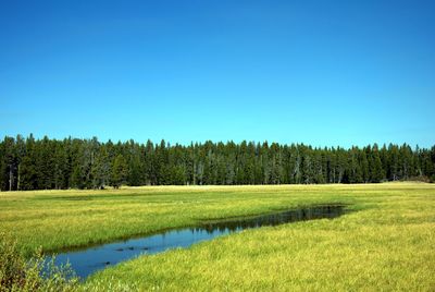 Scenic view of landscape against clear blue sky