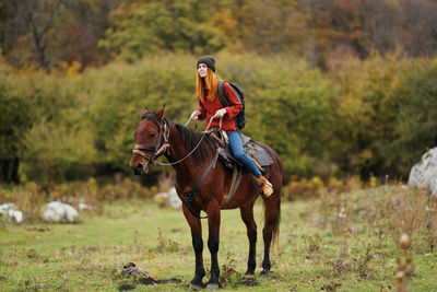 Horse riding horses in a field