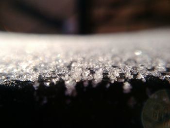 Close-up of snow on wet surface
