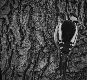 Rear view of man standing by tree