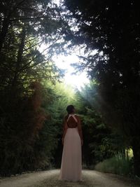 Rear view of woman standing in forest