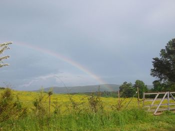 Scenic view of field against cloudy sky