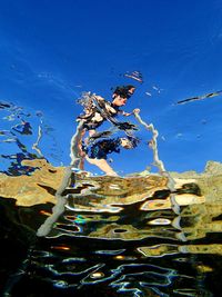 Low angle view of plants by lake against blue sky