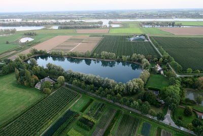 High angle view of agricultural field