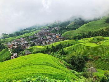 Scenic view of agricultural field against buildings