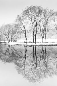 Bare tree by lake against sky