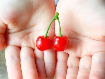 Close-up of hand holding tomatoes