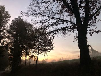 Silhouette trees on landscape against sky at sunset