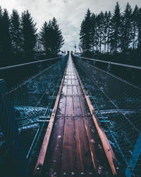 High angle view of footbridge amidst trees in forest