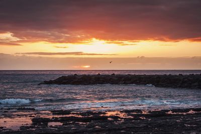 Scenic view of sea at sunset