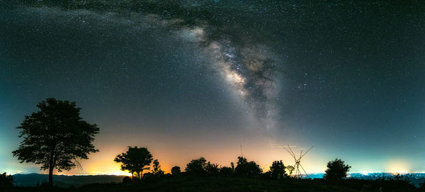 Low angle view of silhouette trees against sky at night