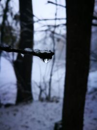 Close-up of snow on water