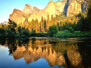 Reflection of trees in lake