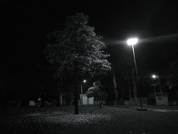 Illuminated street lights in park at night
