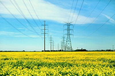 View of yellow flowers on field against sky